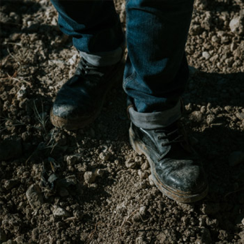 The Soil